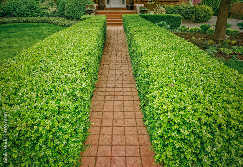 Photography A formal red interlocking tile walkway bordered by a mature boxwood hedge and we