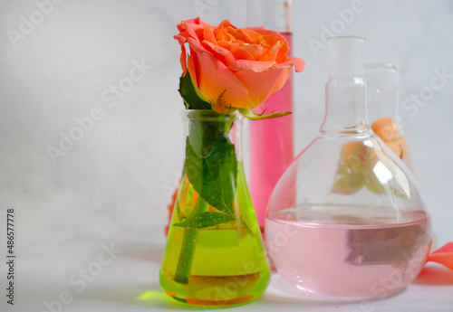 laboratory flask flower rose on a light background