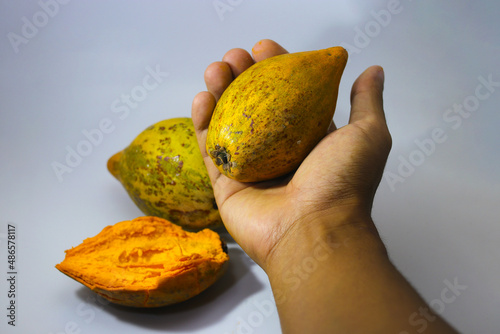 Hand holding a ripe yellow egg fruit or canistel (commonly known as the cupcake fruit, Pouteria campechiana, Sawo mentega, sawo ubi, sawo belanda, alkesah) isolated on white background. photo