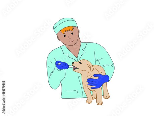 The veterinarian examines the dog. The doctor makes a vaccination for a puppy. The veterinary clinic accepts pets. favorite pet at the doctor. Color illustration on a white background.