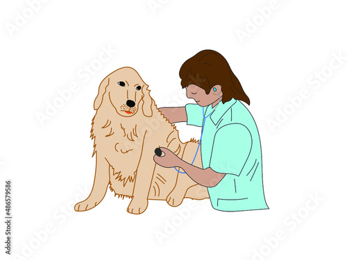 The veterinarian examines the dog. The doctor makes a vaccination for a puppy. The veterinary clinic accepts pets. favorite pet at the doctor. Color illustration on a white background.