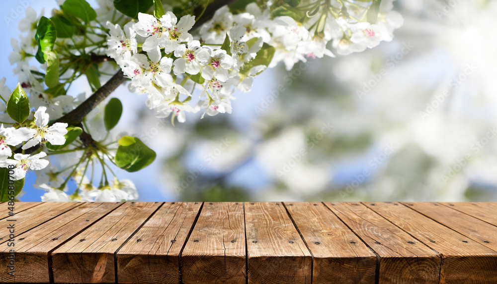 Old empty wooden table - spring background