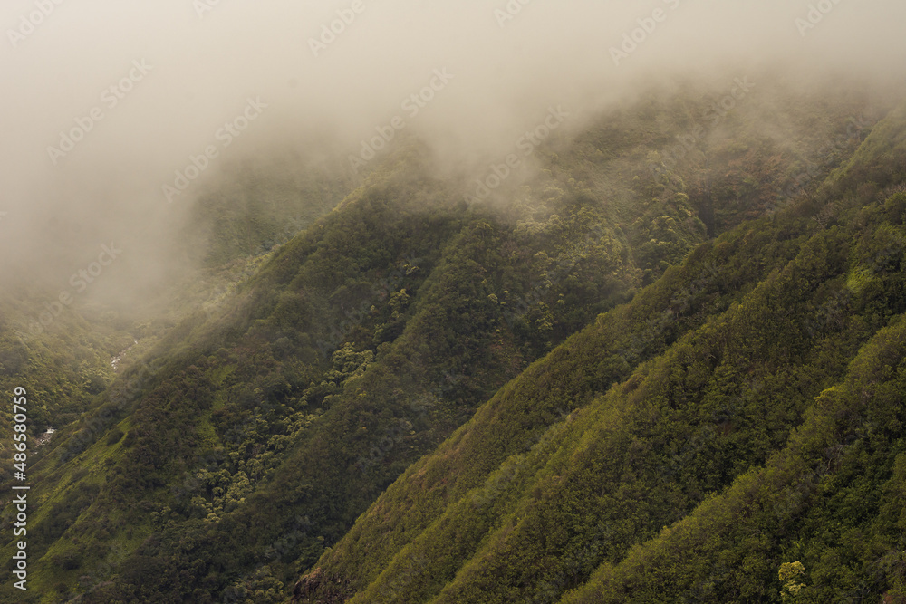 Panoramic nature landscape from Iao valley in wahiee forest on Maui island, Hawai.