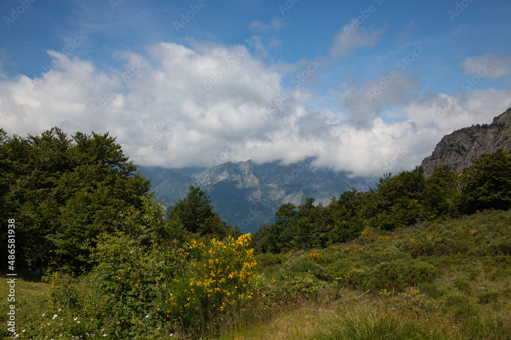 View of the rocky peaks of the Pyrenees, covered with low clouds. In the foreground is a green meadow and trees.