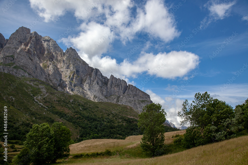 View of the rocky peaks of the Pyrenees against a blue cloudy sky. Green trees in the foreground.