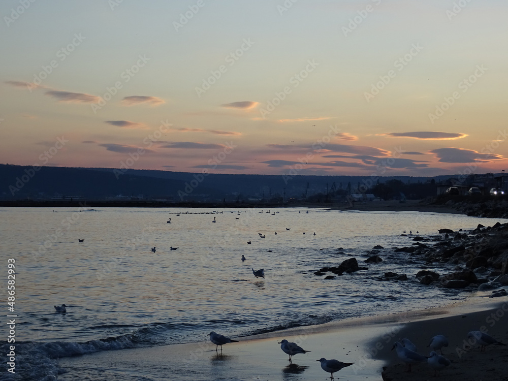 Beautiful nature in Black sea at Varna - BG