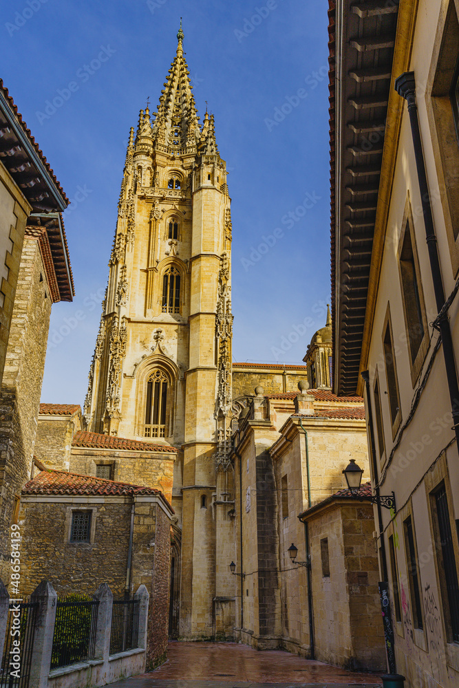 Fototapeta premium View of the Cathedral of Oviedo, Uvieu, in Asturias, Spain 