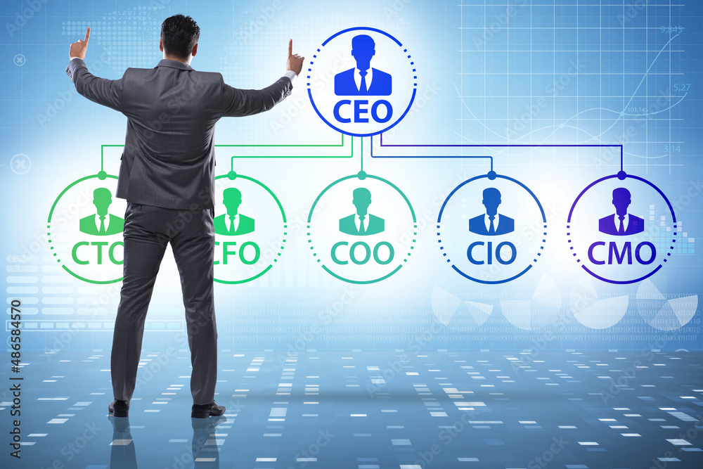 Illustration of organisation chart with various executives Illustration of organisation chart with various executives