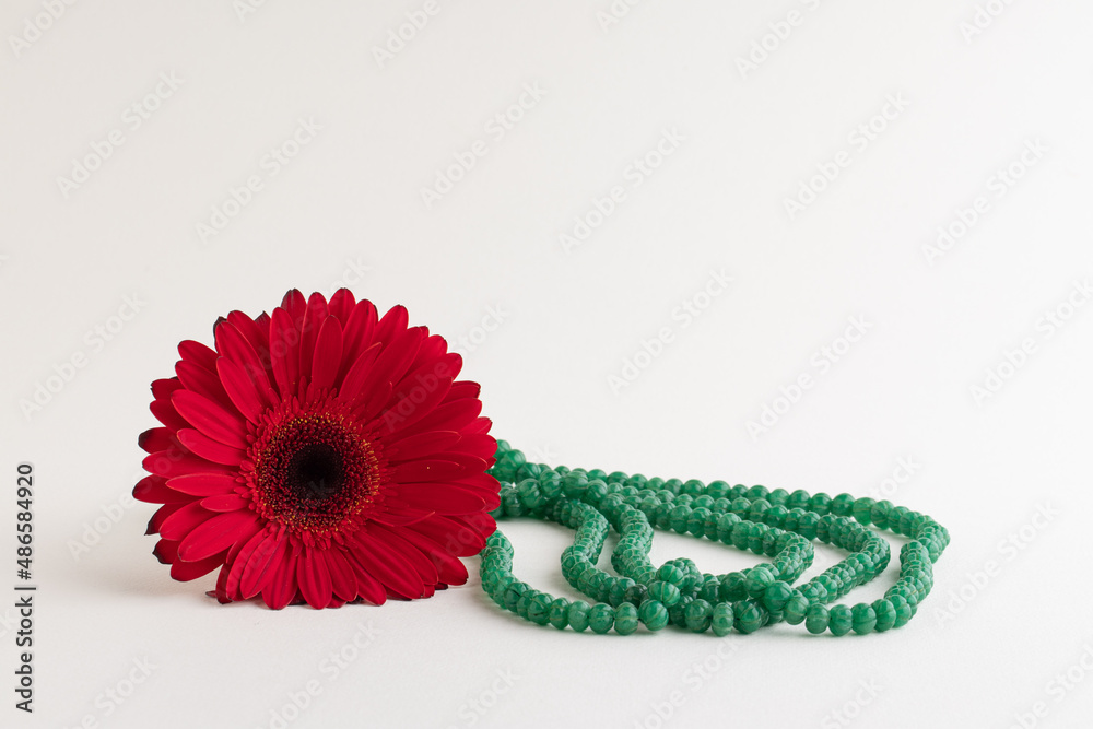 Red gebera flower with different objects on white Red gebera flower with different objects on white