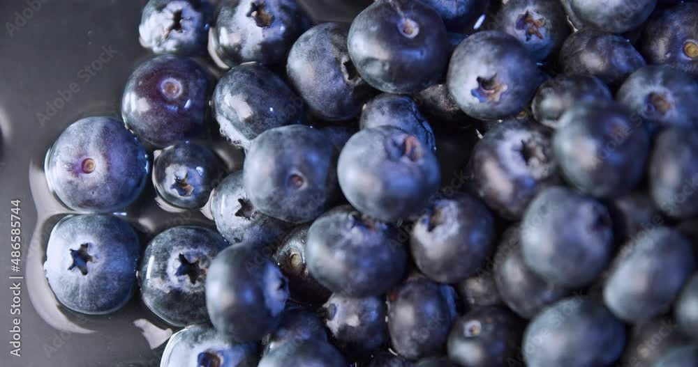Fresh blueberries fruit Slow Motion. Arándanos.