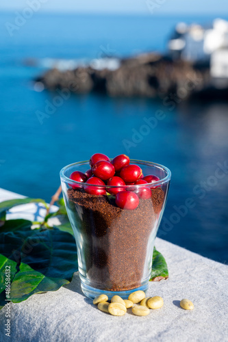 Red ripe arabica coffee berries, green coffee beands, leaves and roasted ground coffee in glass and blue ocean view photo