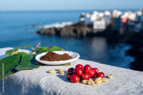 Red ripe arabica coffee berries, green coffee beands, leaves and roasted ground coffee in bowl and blue ocean view