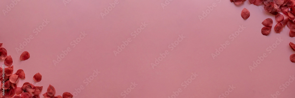 Large Valentine's day card background with rose petals | Top View Large Valentine's day card background with rose petals | Top View