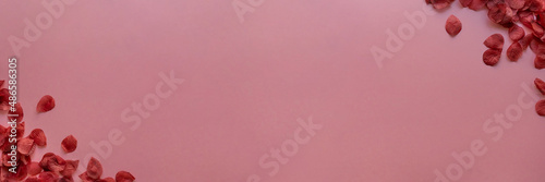 Large Valentine's day card background with rose petals | Top View