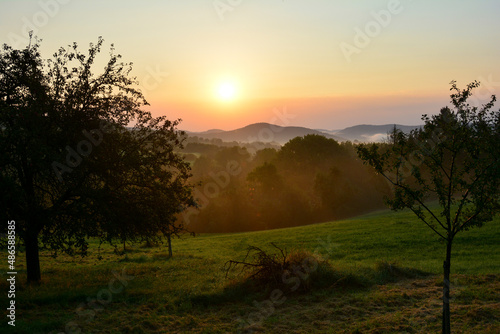 Green landscape with trees in the light of the rising sun