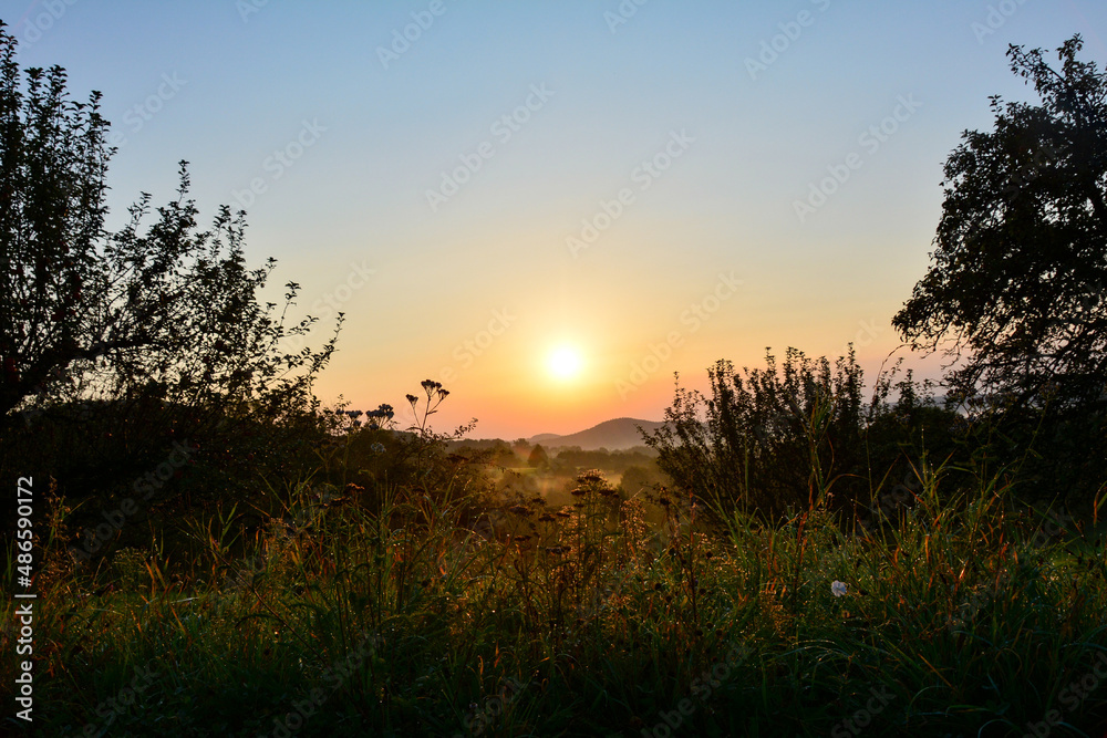 Meadow in green nature at sunrise Meadow in green nature at sunrise