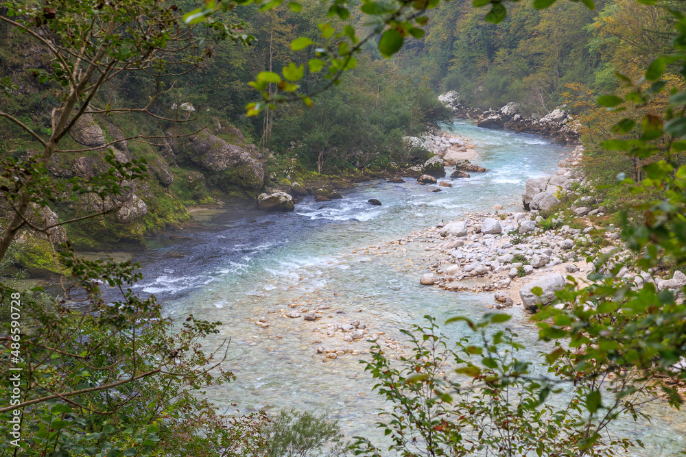 custom made wallpaper toronto digitalRiver Soča is rushing down an autumn valley near Kobarid, Slovenia