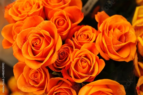 bouquet of orange roses