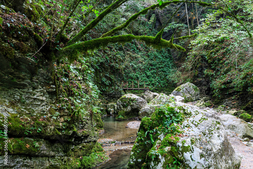 pathway to Kozjak-Fall, lush green slopes full of fernes, Kobarid, Slovenia