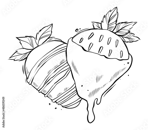 Strawberries dipped in chocolate, monocrome vector illustration