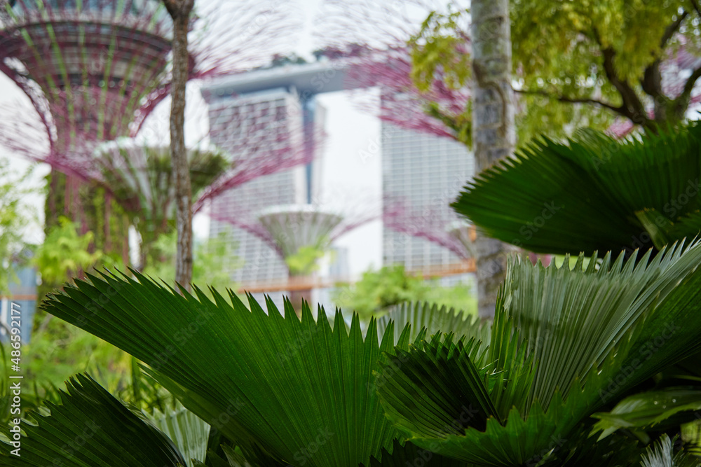 Singapore vertical garden towers, urban regeneration Stock Photo