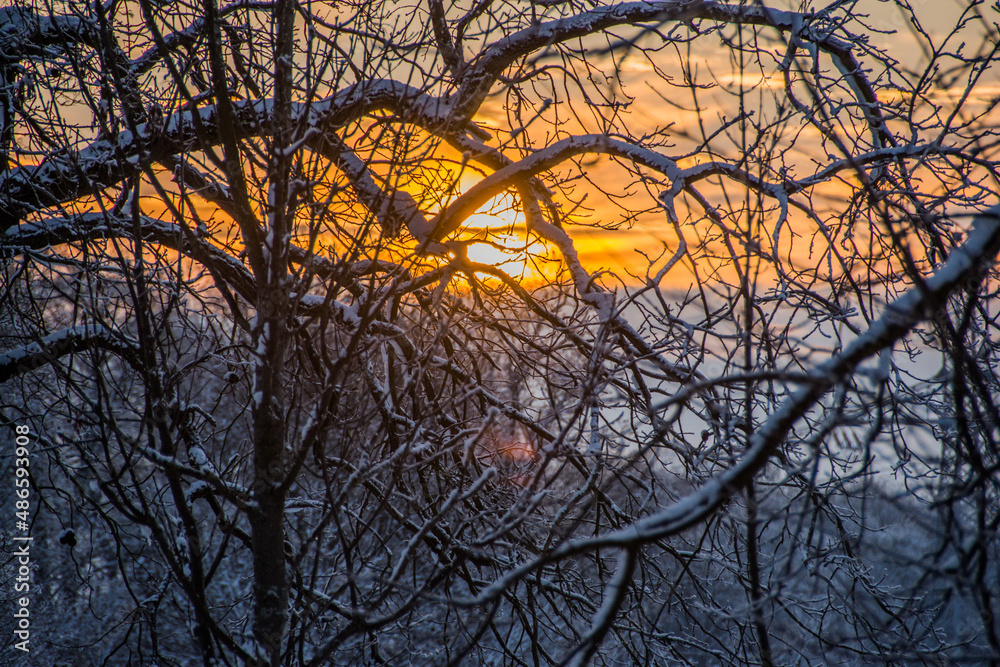 Obraz premium sunset in the forest, winter, lop 