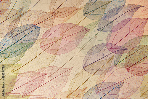 Seamless pattern of transparent colorful leaves