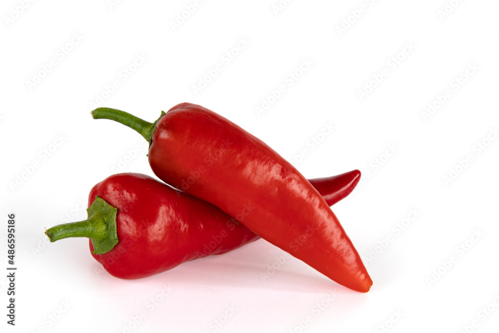 two red peppers isolated on white background