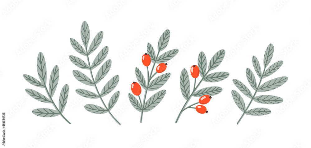 Hand drawn red berries and leaves. Vector floral elements Hand drawn red berries and leaves. Vector floral elements