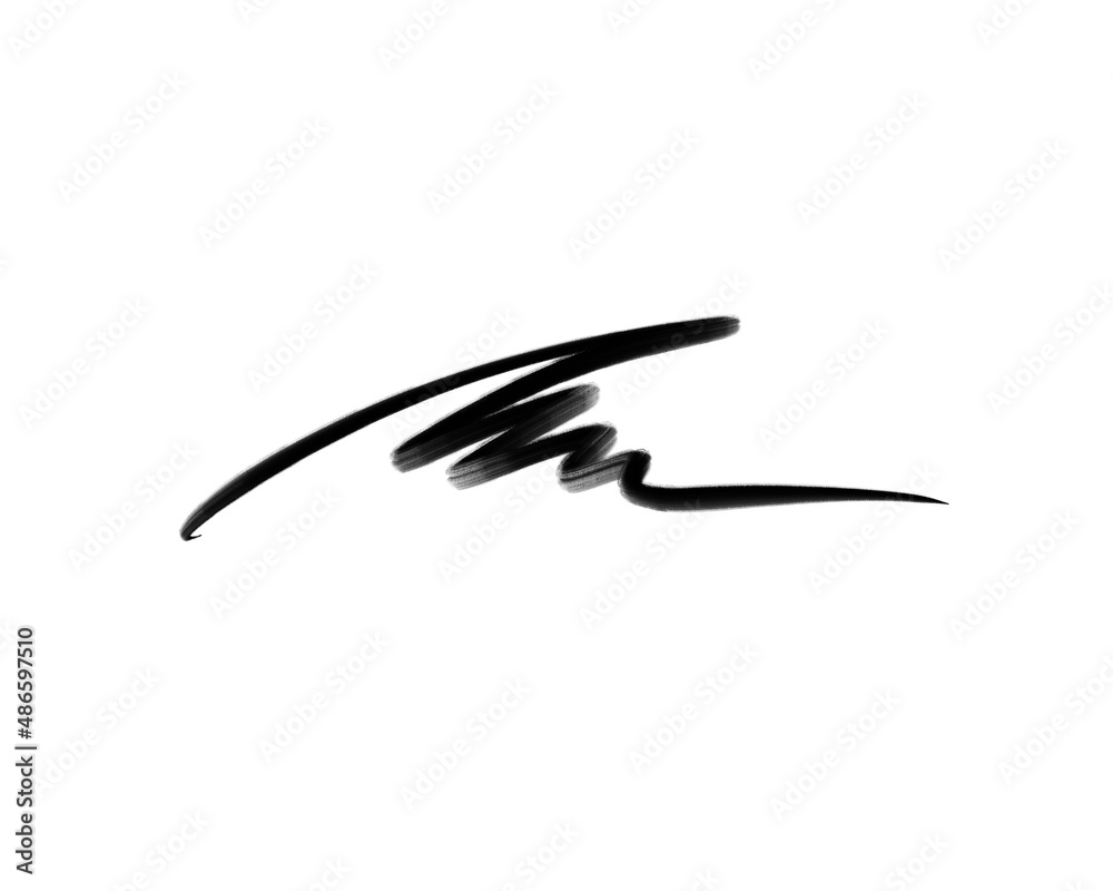 stroke in black on a white background, abstract signature stroke in black on a white background, abstract signature