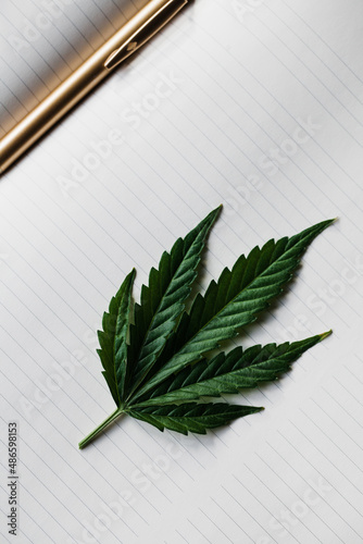 Green cannabis leaf with blank notebook and gold pen photo