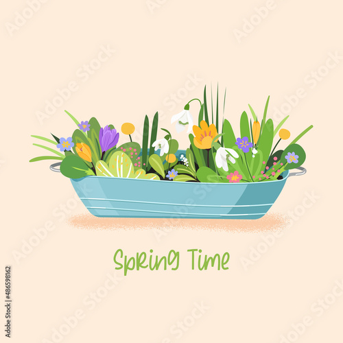 Fotótapéta Spring time vector card with flowers and herbs in metal bucket