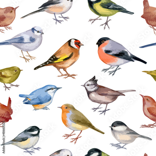 Vector illustration of seamless pattern with forest birds © Viktoria