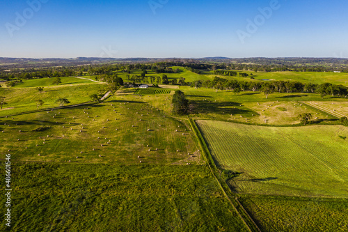 drone view of farmland photo