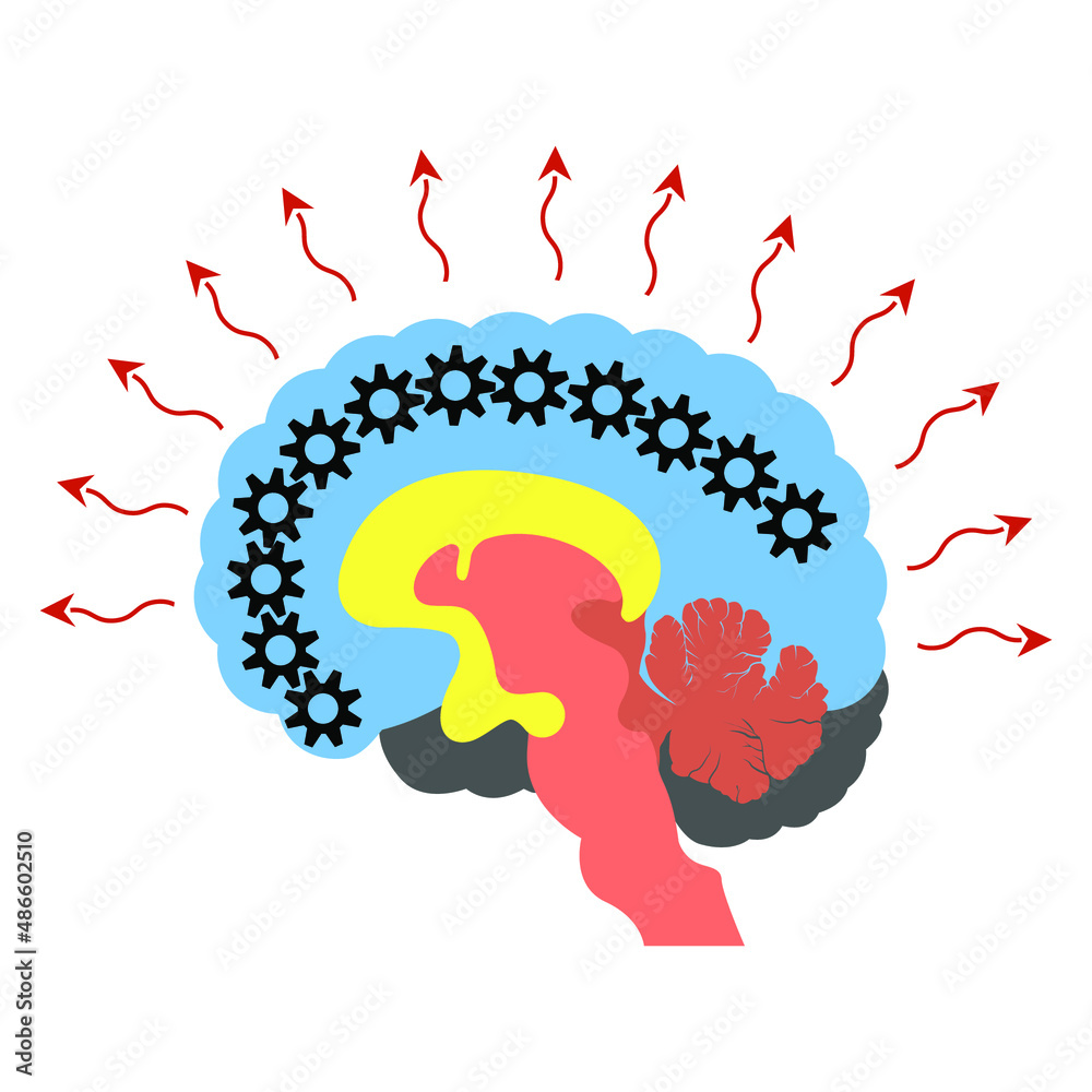 The Triune Brain. Diagram of divisions.Limbic, reptilian and neocortex ...