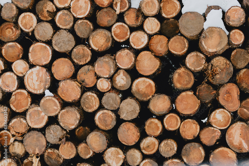 Log spruce trunks pile Log spruce trunks pile