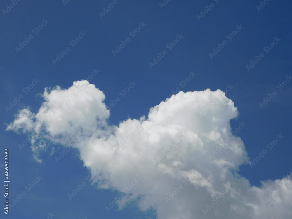 clouds in the sky, blue sky with clouds clouds in the sky, blue sky with clouds
