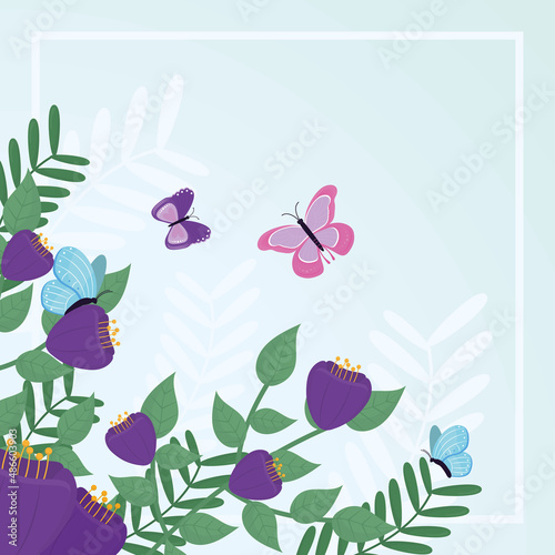 butterflies and flowers illustration