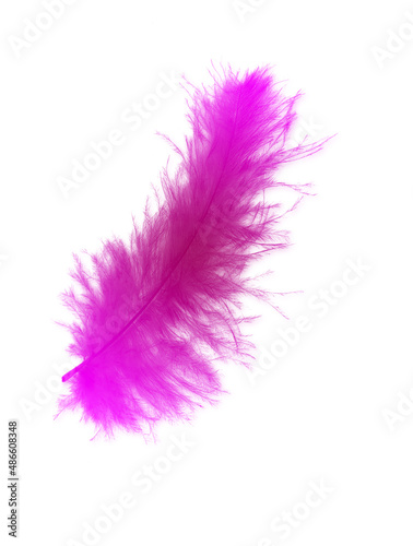 Colored feathers background - high resolution