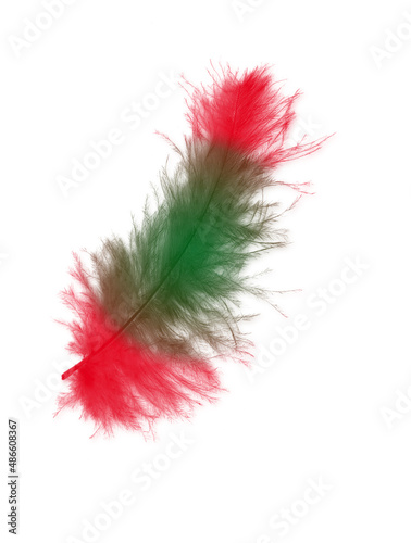 Colored feathers background - high resolution