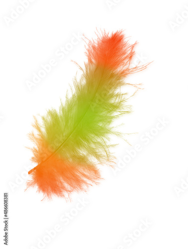 Colored feathers background - high resolution