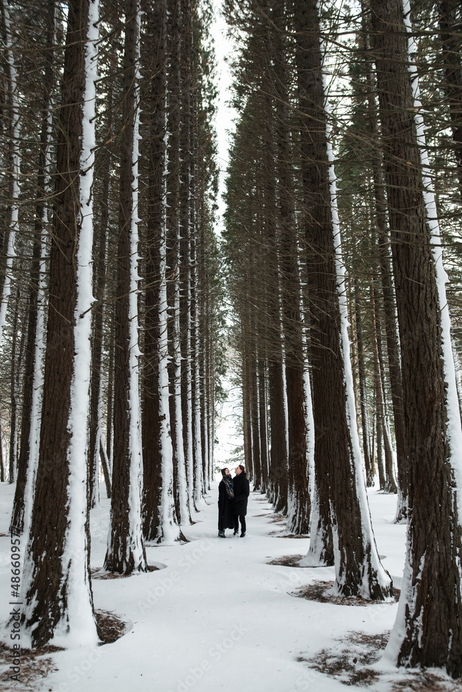 Young couple standing in the snowy forest Young couple standing in the snowy forest