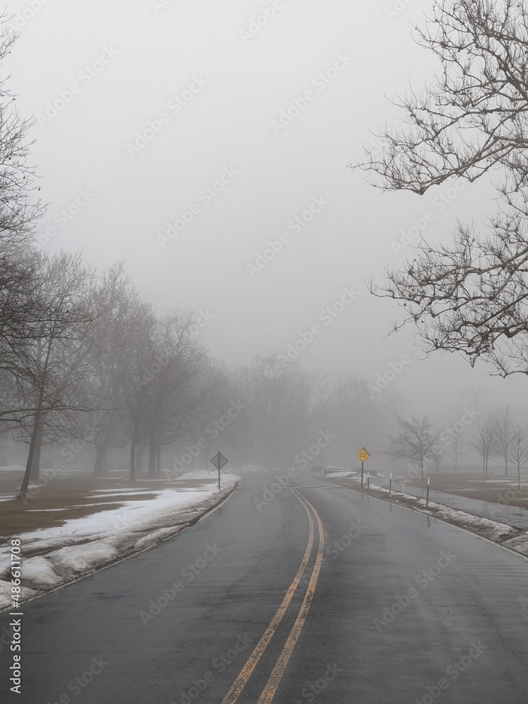 Winter misty park