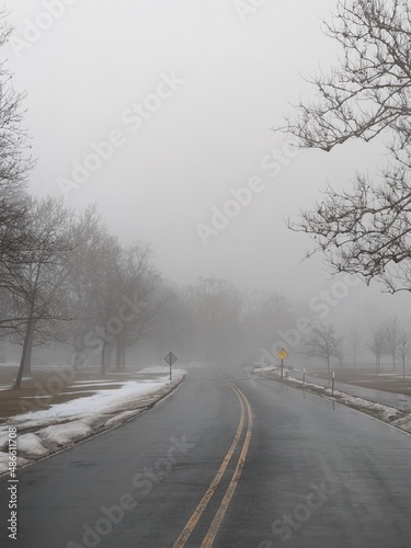 Winter misty park © Virynja