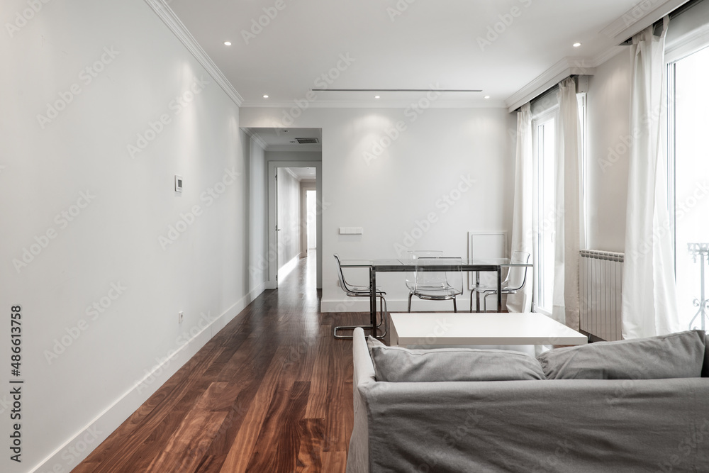 Fototapeta premium Living room with long gray sofa, glass dining table and perspex chairs with reddish wood flooring and soft gray painted walls