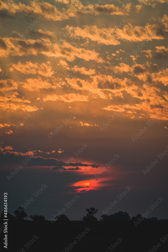 Fototapeta premium sunset in the sky