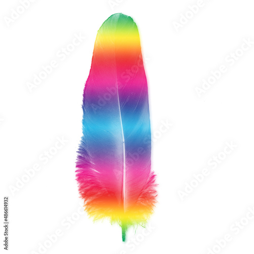 Colorfully feathers background - High resolution