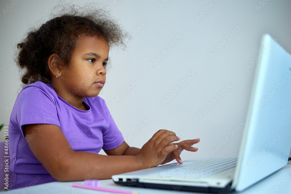 Girl studying at laptop Girl studying at laptop
