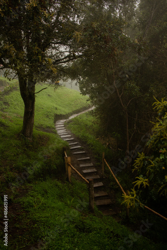 landscape of a mysterious path in the form of ladders rushing up  in the middle of a green meadow with trees located in a foggy tropical forest in Salento  Colombia