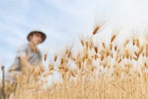 麦畑で仕事をする農家 © carbondale